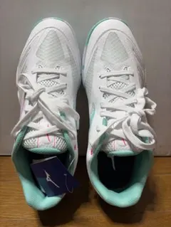 Item thumbnail for item 30ebb0ed-76ba-49bb-9115-c4b821b4f9de