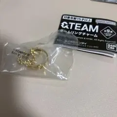 ＆TEAM エンティームガチャガシャポン　ネームリング　チャーム　EJ 新品のサムネイル