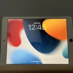 【ジャンク】iPad Air 第9世代 64GB シルバー（動作確認済）