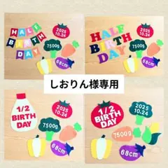 【しおりん様専用】ハーフバースデー装飾品