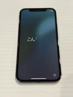Apple iPhone 12 Pro グラファイト