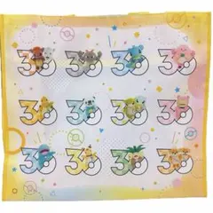 ポケモン 30周年 ポケモンローカルActs コンプリート ショッピングバッグ