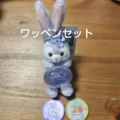 ディズニー　カラフルハピネス　　ぬいぐるみチャームステラルー　ワッペン