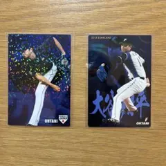 かなけい様 リクエスト 2点 まとめ商品