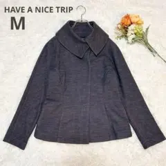 【ハヴァナイストリップ】ビッグカラー ジャケット オフィス 通勤 グレー M