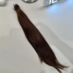 Item thumbnail for item 77d9dc24-164d-47b7-9f12-fecd534fd2e7