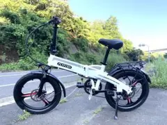 SUNPIE 電動アシスト自転車 太タイヤ 48V - メルカリ