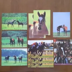 Item thumbnail for item 6dd94e80-36b4-42e3-bc1e-12a028870012