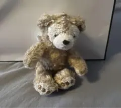 香港ディズニーランド ダッフィー