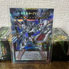 No.99 希望皇ホープドラグナー　オーバーフレームプリシク