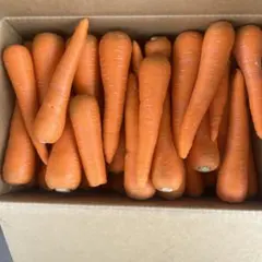 85新鮮な柔らかい人参　　ワケありでも市場出荷用　優品　10キロ　農家直送のサムネイル