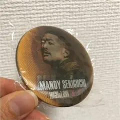 関口メンディー 缶バッジ