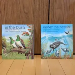 Item thumbnail for item b55dc548-4926-4c05-aeb9-3d92ce1e5a49