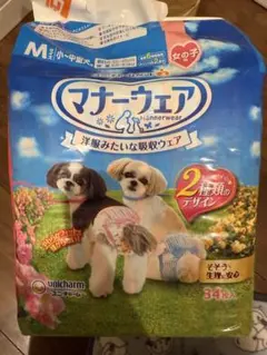 Item thumbnail for item 459850f1-8fd6-416a-bb54-feb50ec80d0b