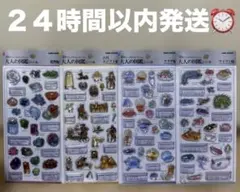 正規品　新品未開封　即日発送　大人の図鑑 3D ４種セット