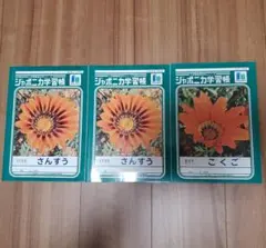 ジャポニカ学習帳 さんすう17マス こくご8マス JL-2 JL-8-1のサムネイル