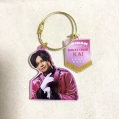 エビライ アクキー 超特急 カイ