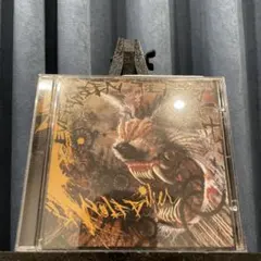 EVERGREEN TERRACE / WOLFBIKER