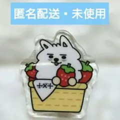 TXT スビン プルバトゥ ヨンモン アクリルピンバッジ いちご