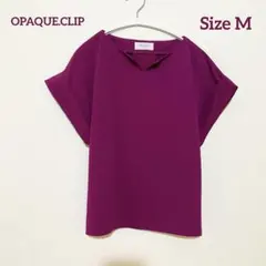 OPAQUE.CLIP ワインレッドVネック 半袖 トップス シャツのサムネイル