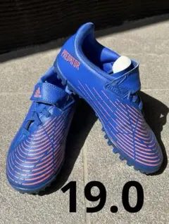 adidas Predatorジュニアサッカートレーニングシューズ19センチ