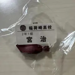 Item thumbnail for item 3fd6082a-0cd3-43cd-9c3c-0c6464e2d050