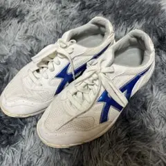 Item thumbnail for item 9752a473-6c95-4932-a7ee-fd46a6cca42e