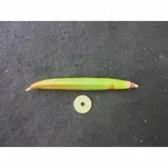 メヒルギ　マングローブ　発根あり　苗　観葉植物沖縄/水槽/アクアリウム/園芸/緑 マングローブ苗(メヒルギ)沖縄産