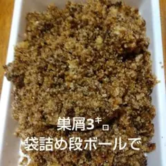 Item thumbnail for item e8fb604f-a623-41b4-be00-3a7f0b03a399