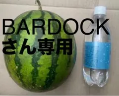 2026年最新】小玉スイカの人気アイテム - メルカリ