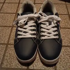 Item thumbnail for item c37c703c-a4a5-4cff-b893-1d9bd7ec2cbe