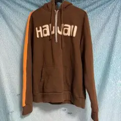 Hollister ホリスター Hawaii パーカー ビッグサイズ