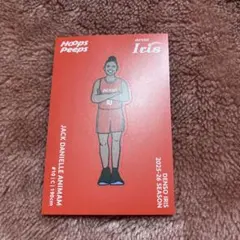 Item thumbnail for item c5df190a-778a-43c6-9930-c51071249cc2