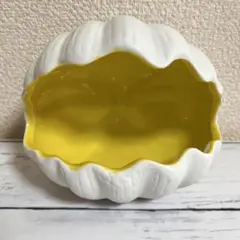 貝殻 置物