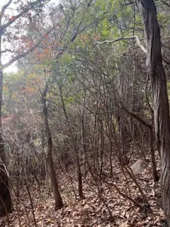 ハゼ様 リクエスト 2点 まとめ商品