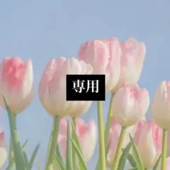 【購入不可】専用