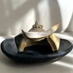 天道物産 陶器製球体オブジェtendobotanical