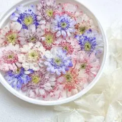 ☆moka☆様 リクエスト 2点 まとめ商品