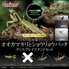 Item thumbnail for item f41518b5-dc7e-48e6-8fe9-b76df7d6cab4