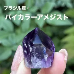 バイカラーアメジスト ミニポイント MY995