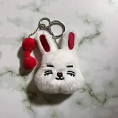 miniteen アイドル