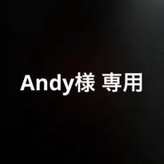Andy様 専用