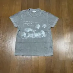 ナノユニバース Tシャツ サイズXS