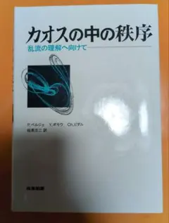カオスの中の秩序 乱流の理解へ向けて