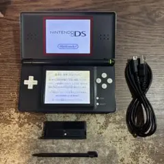 TakahisaWatanabe様専用 訳ありニンテンドーDSLiteカスタム②