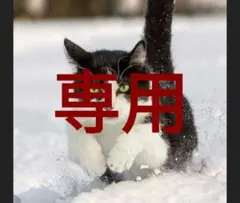 マッサー 様専用のサムネイル