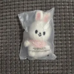 リービット リノ StrayKids スキズ　10cmぬい　ペンミ