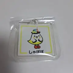 バスまつり2025 ガチャガチャキーホルダー　しゃぽぽ