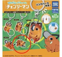 つながリングチャーム チェンソーマン ポチタ 【E】