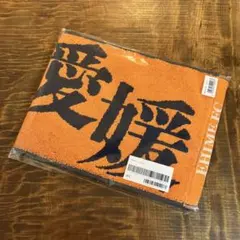 愛媛FC タオルマフラー タオル